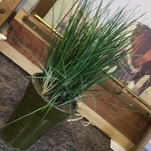 Faux plant staging art decor rustic farmhouse shabby chic